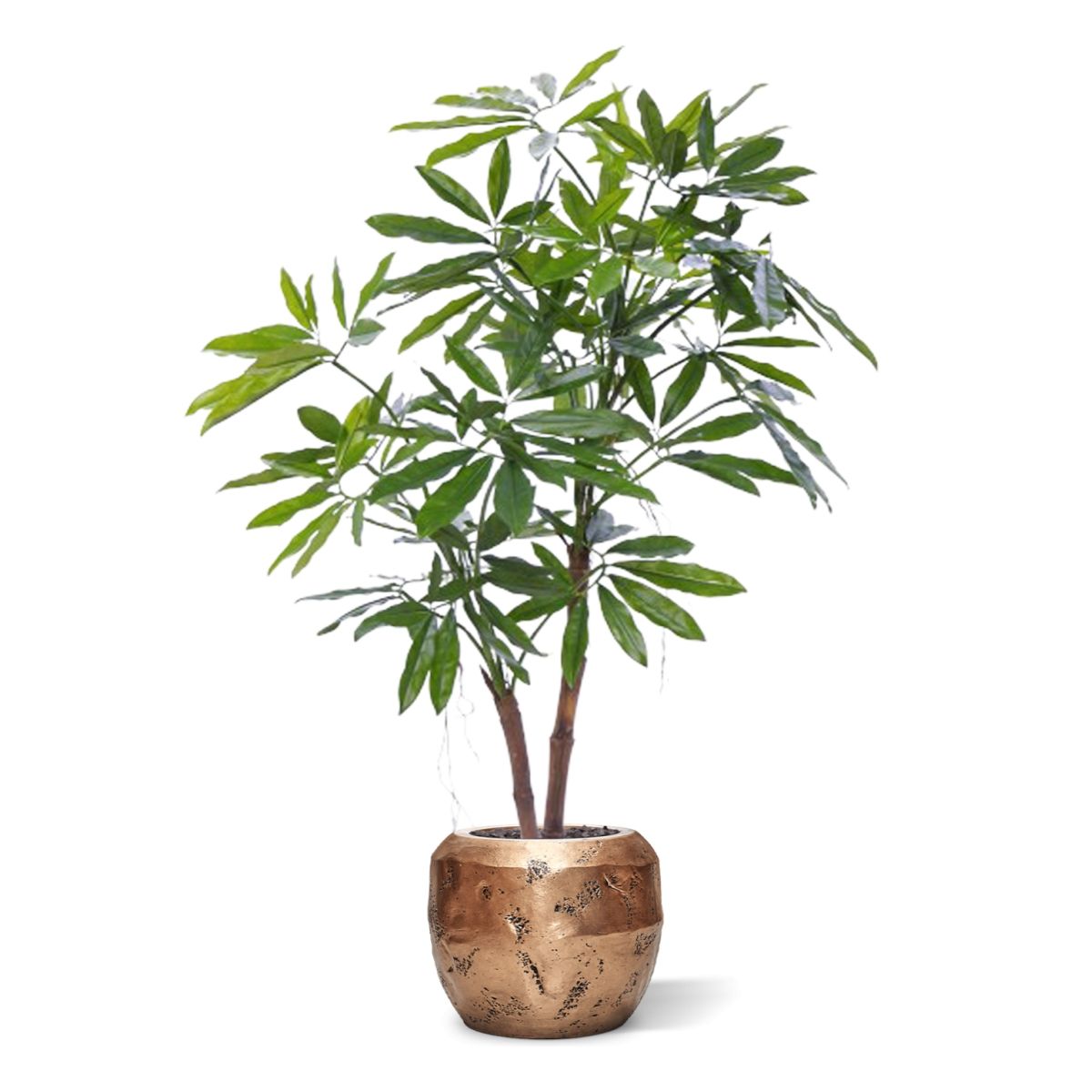 Plante artificielle Philodendron (155 cm)