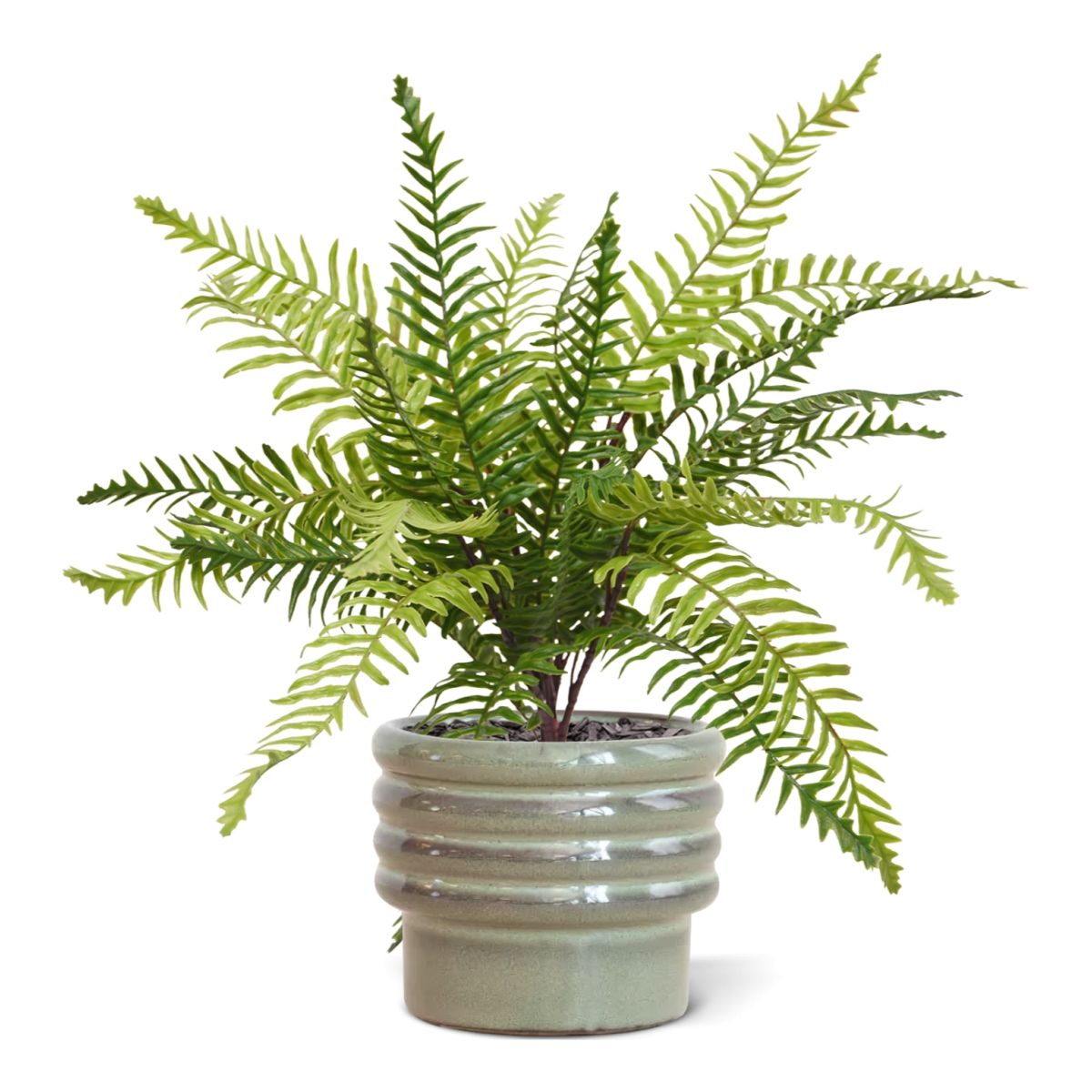 Dirbtinis augalas Papartis (45 cm)