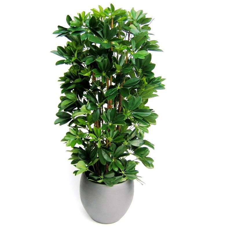 Planta artificial Schefflera (120 cm)