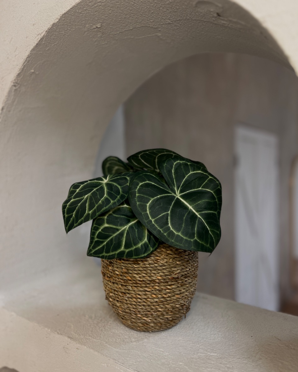 Kunstplant Combo - Anthurium & Pot (35 cm)