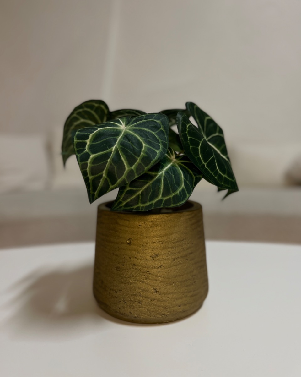 Kunstplant Combo - Anthurium & Pot (35 cm)