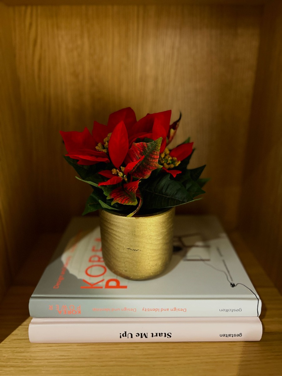 Combo - Poinsettia & Pot (30 cm)