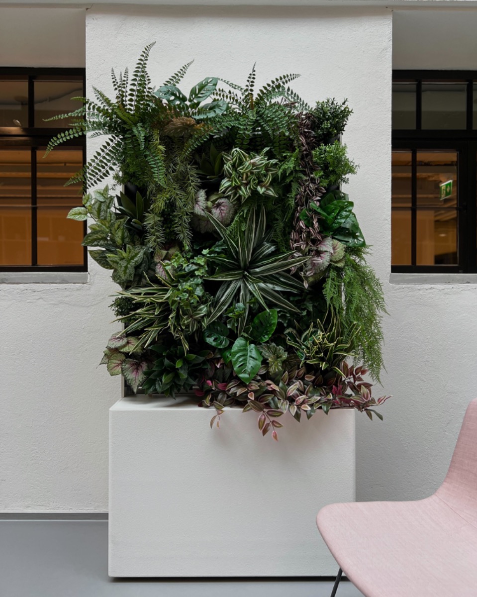 Jakohylly (↔90 cm ↕180 cm)