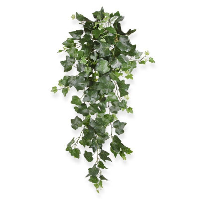 Ivy Deluxe hanging plant 75 cm green
