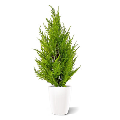 Artificial Potted Cypress 45cm yellow green