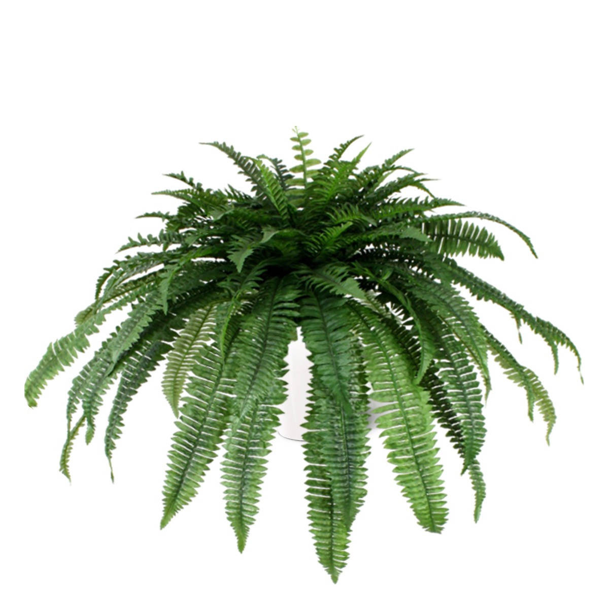 Mākslīgā paparde (50 cm) Mākslīgā paparde (50 cm)