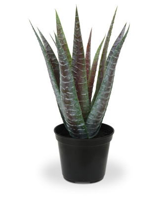 Konstgjord Aloe Vera bukett i kruka (30 cm)