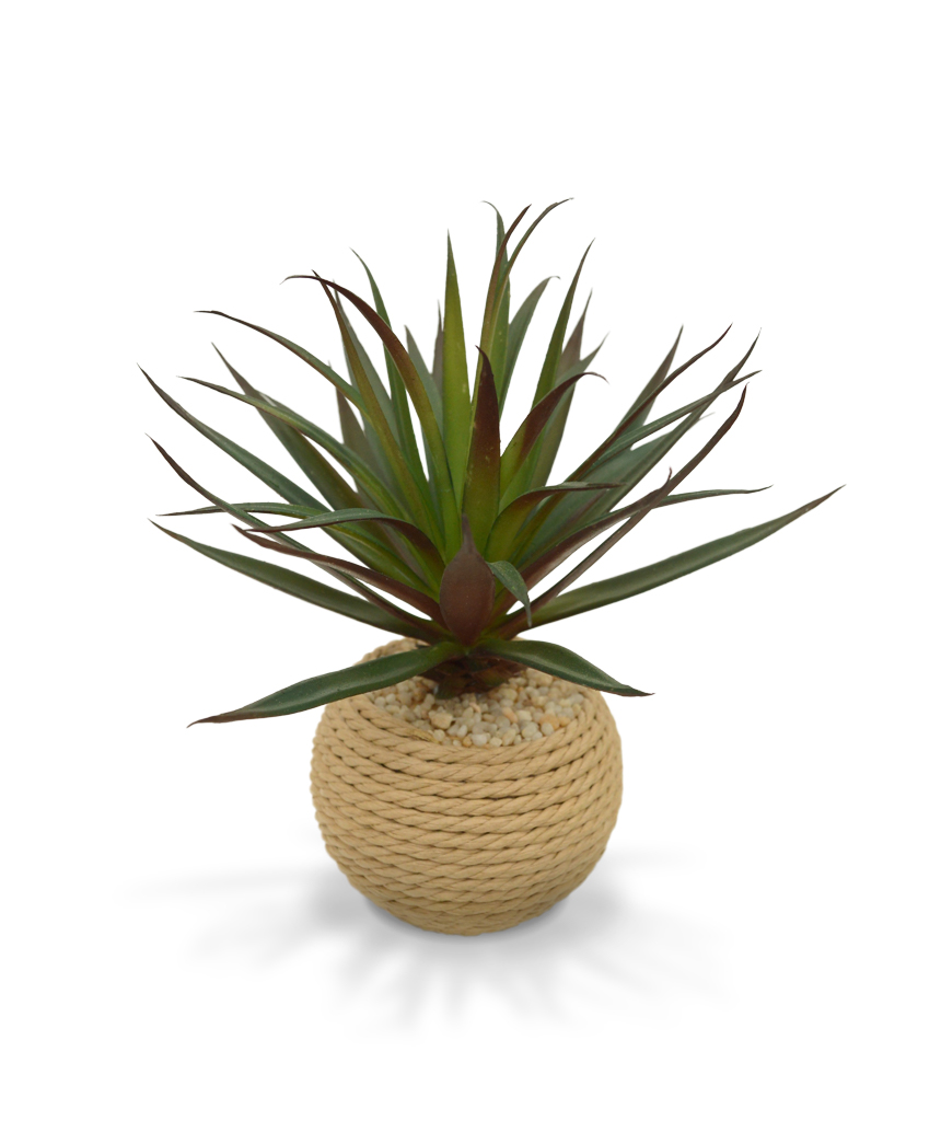 Kunsttaim Ääris-draakonipuu potis (19 cm)