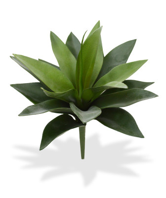 Agave buket (25 cm)