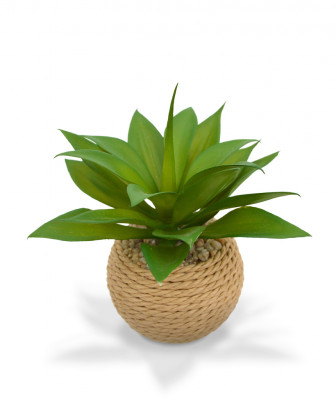 Artificial Small Agave in rope pot