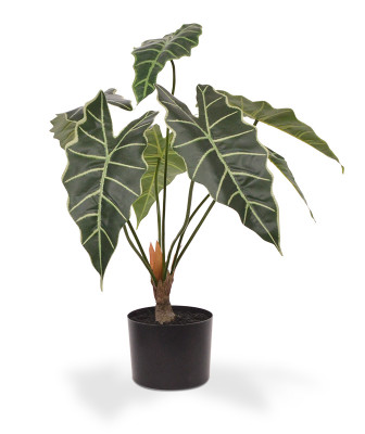 Artificial Alocasia Amazonica artificial plant 60 cm