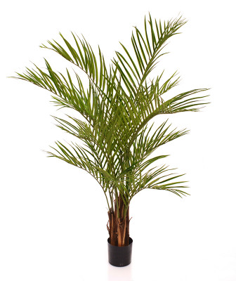 Mākslīgais Areca Palmtree Deluxe 150 cm