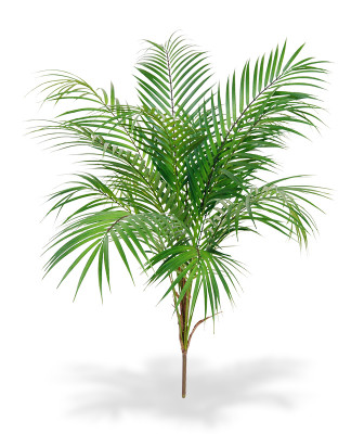 Mākslīgās Areka palmas pušķis (80 cm)