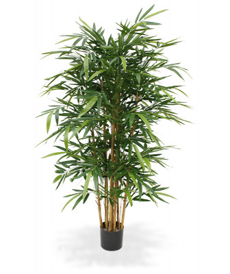 Бамбук (150 см)