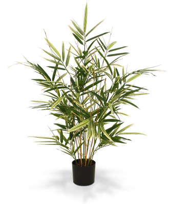 Bambu (70 cm)