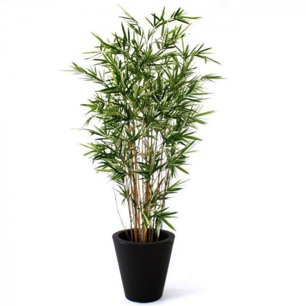 Netikras Bambukas 170 cm