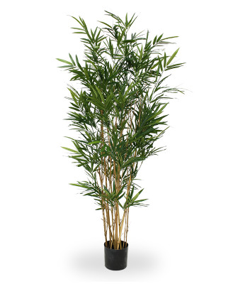Бамбук (150 см)