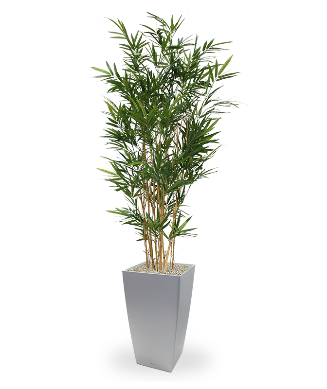 Dirbtinis medis Bambukas 165 cm