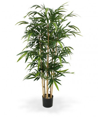 Bambu (150 cm)