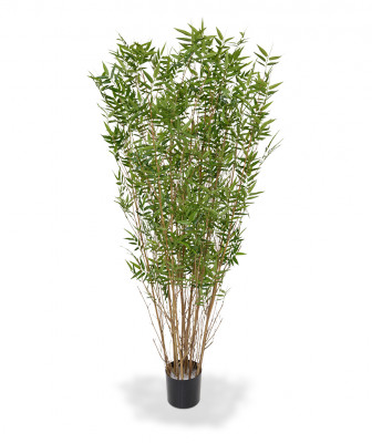 Bambukas 160 cm