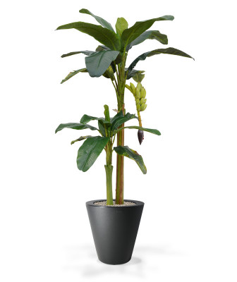 Mākslīgais banānu koks (180 cm)