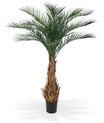 Финиковая пальма (180 см)