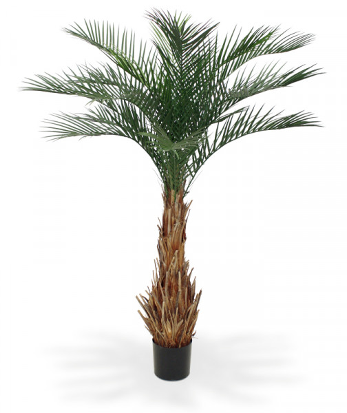 Sztuczny Palma królewska (180 cm)