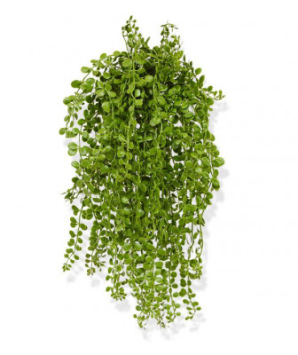 Planta rasteira Dischidia artificial 40 cm UV