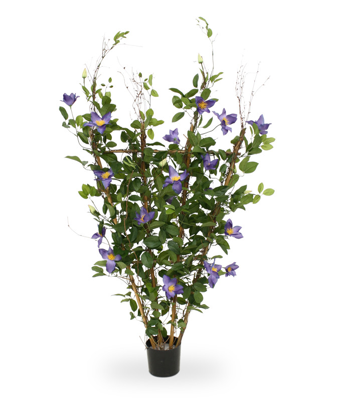 Τεχνητό Θάμα Clematis (125 cm)