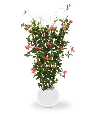 Mākslīgais Clematis Hedge 125 cm rozā