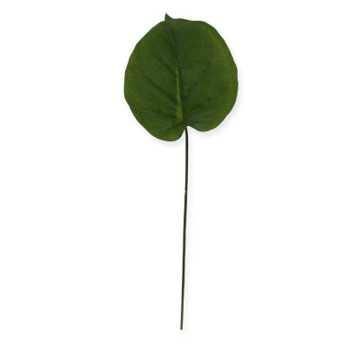 Filodendron liść (20 cm)