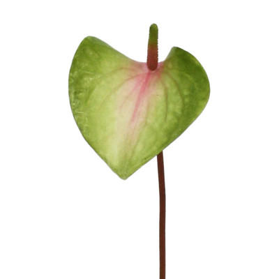 Mākslīgā Anthurium s stumbra zieds 50 cm rozā zaļš