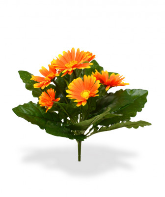 Gerbera bukiet (30 cm)