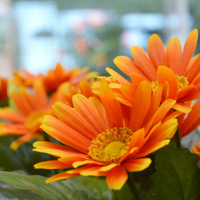Bouquet Gerbera artificial 30 cm laranja