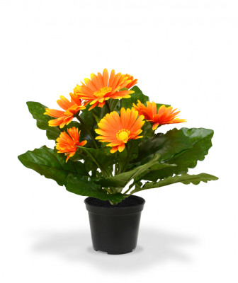 Mākslīgā gerbera (30 cm)