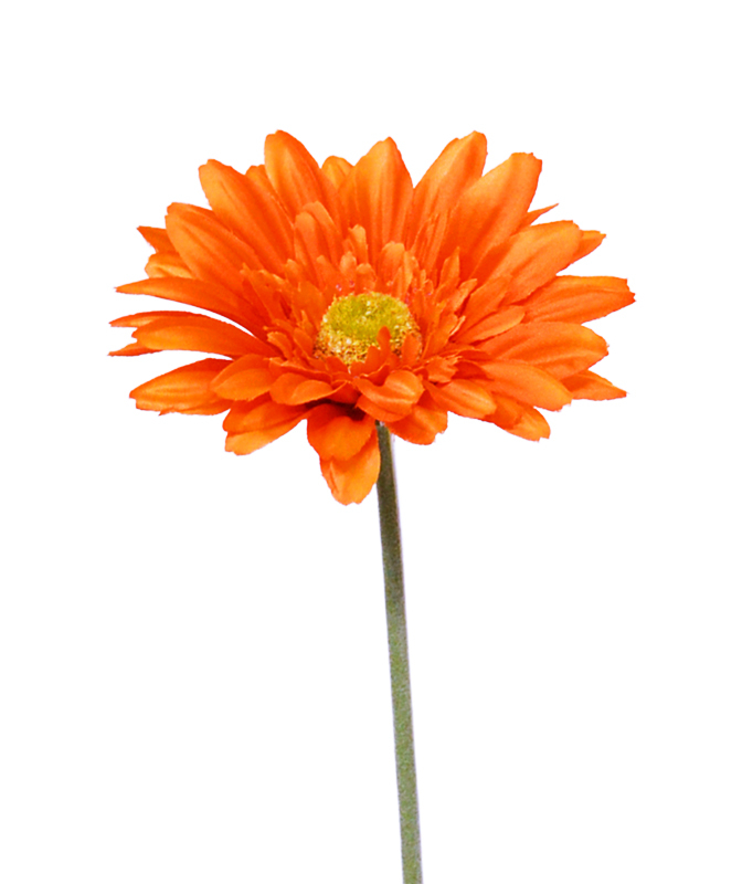 Dirbtinė gėlė Gerbera 60 cm