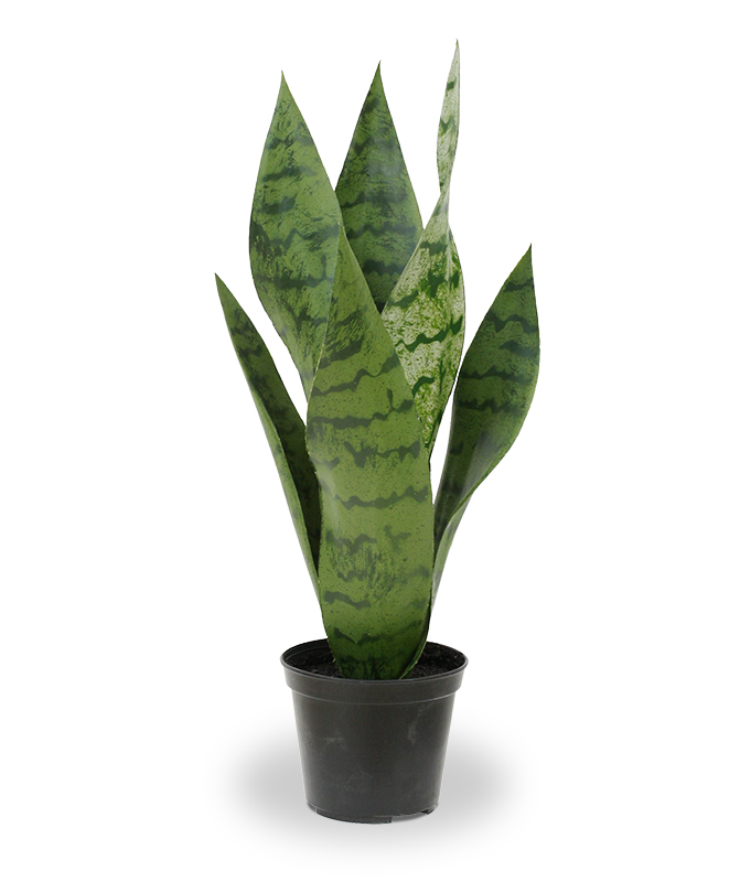 Kunst Havisaba (40 cm) Kunst Havisaba (40 cm)