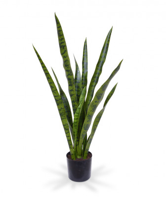 Planta Sanseveria artificial 78 cm 