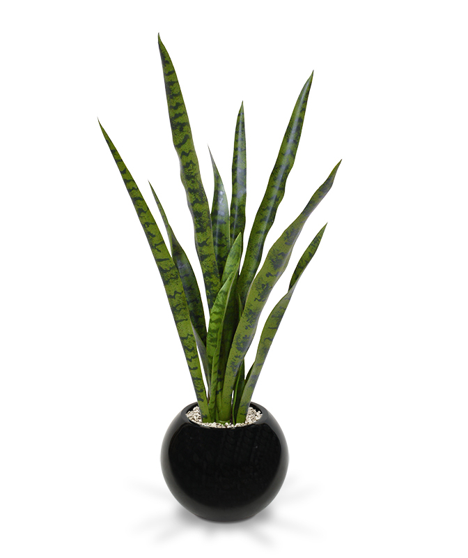 Dirbtinis augalas Sansevjera 78 cm