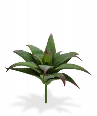 Bouquet Haworthia Succulent artificial