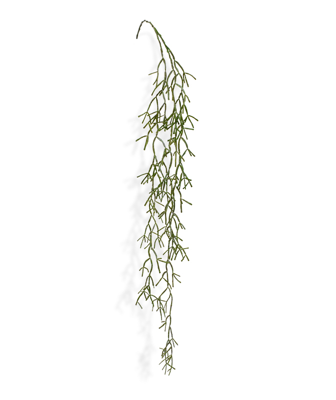 Pianta artificiale Rhipsalis Trigona pianta rampicante (100 cm)