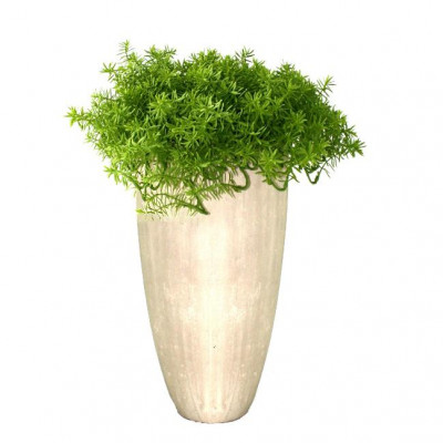 Dirbtinė Žilė sukulentas augalas 30cm vazone