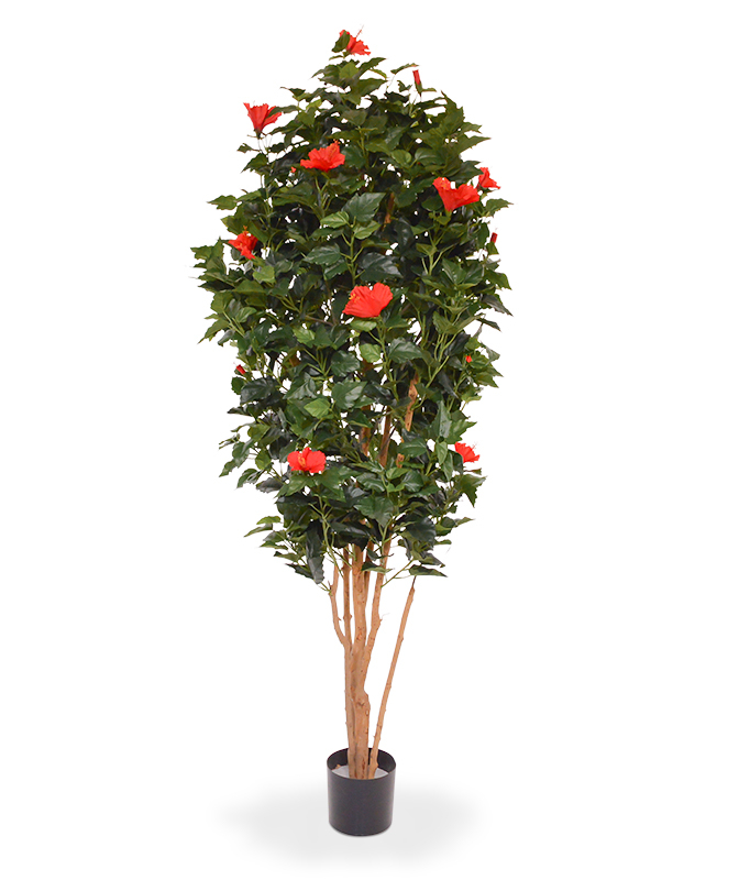 Sztuczny Hibiskus drzewo (175 cm) Sztuczny Hibiskus drzewo (175 cm)