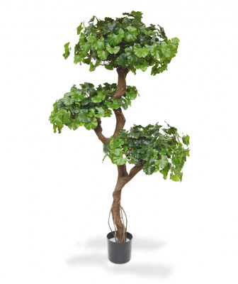 Neidonhiuspuu bonsai (150 cm)