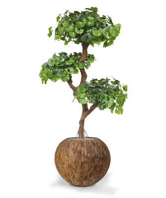 Mākslīgā ginkgo bonsai koks (150 cm)