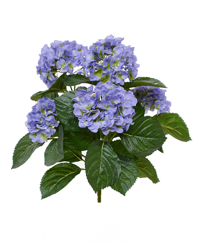 Hortensiaページ Amazon.com: Pepita Needlepoint Canvas: Hydrangea Bunch, 10