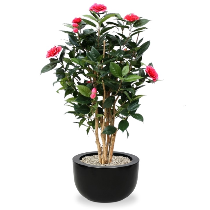 Konstgjord Kamelia (100 cm)