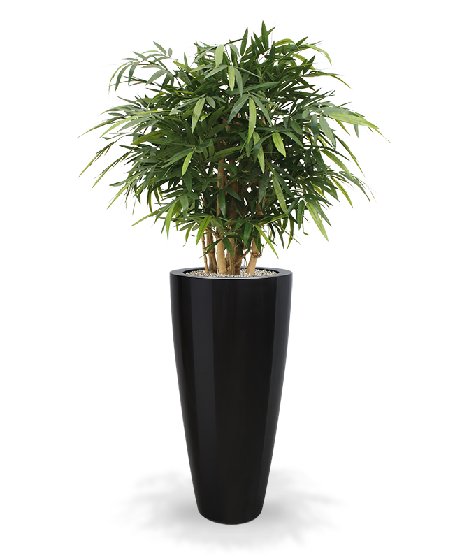 Kunstpuu Jombuline bambus (120 cm)