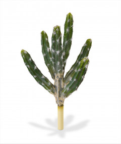 Tehis Kaktus (36  cm)
