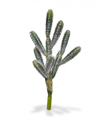 Dirbtinis Kampuotasis sijūnas Kaktusas puokštė 45 cm žalia